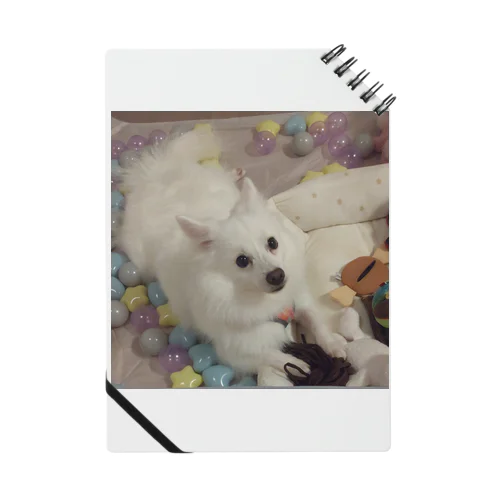 愛犬パールグッズ　Mipa♥日本スピッツ ノート