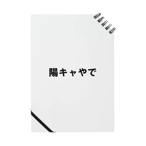 陽キャになれる（かもしれない） Notebook