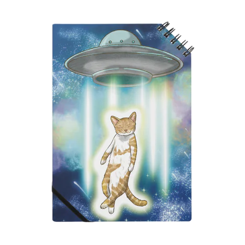 UFOと猫 ノート