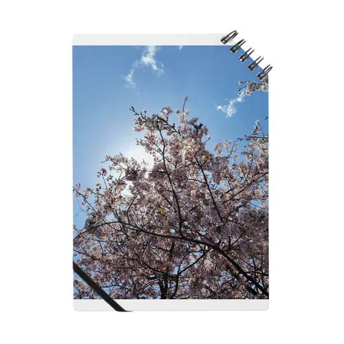 屋久島の桜 Notebook