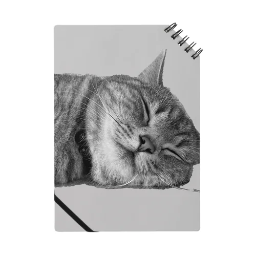  Biko sleeping Notebook