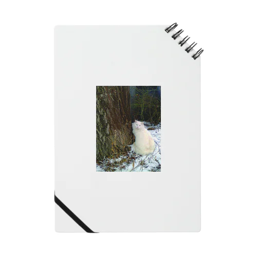 Winter Cat Notebook