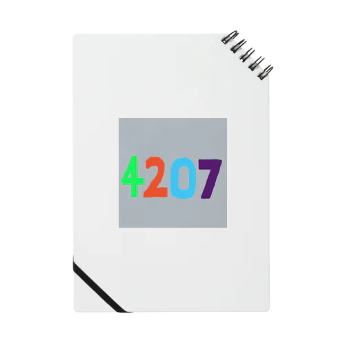 4207 Notebook