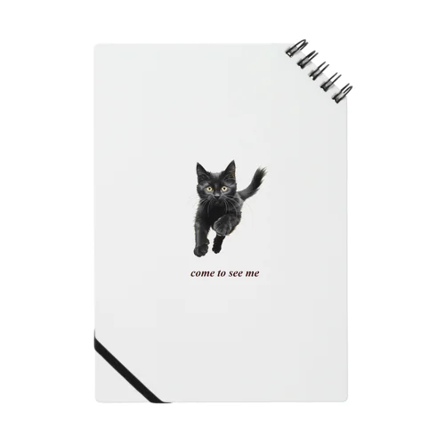 黒猫ちも Notebook