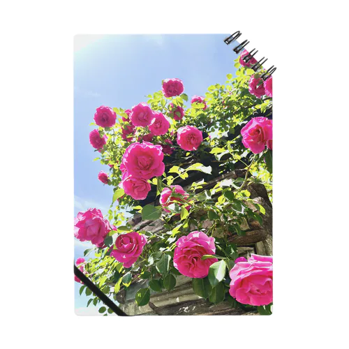 薔薇と青空 ノート