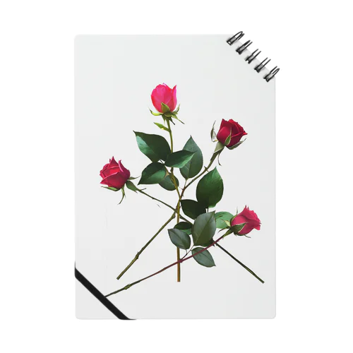 Redpink  4 roses ノート