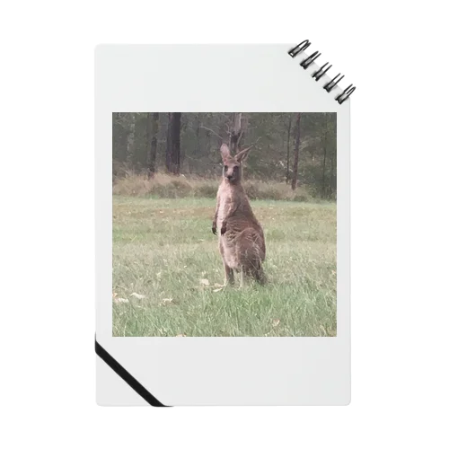 Kangaroo ノート