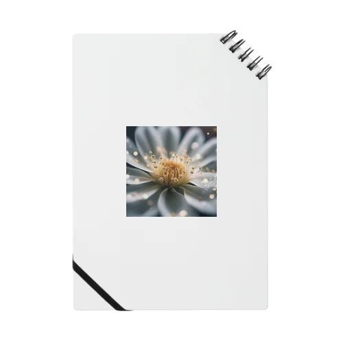 白い花 ノート