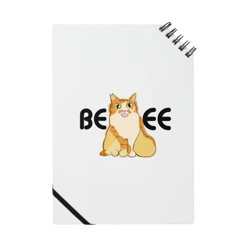 BEEE Notebook