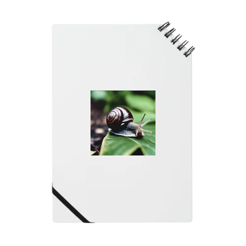 カタツムリの散歩 Notebook