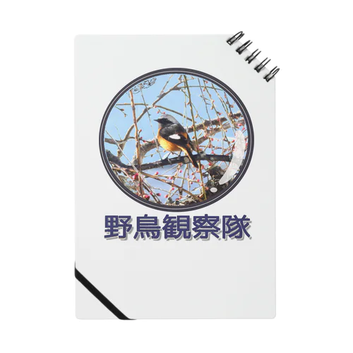 ジョウビタキ　野鳥観察隊　日本の野鳥　 ノート