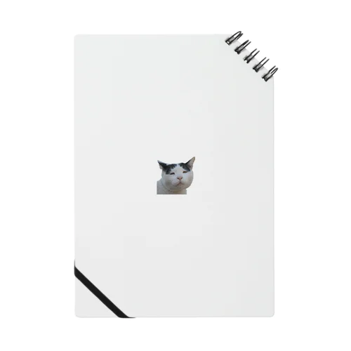ブサかわ猫　ベン Notebook