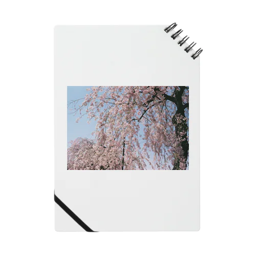 桜の雨 Notebook