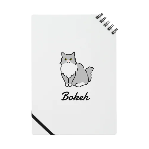 Bokeh Notebook