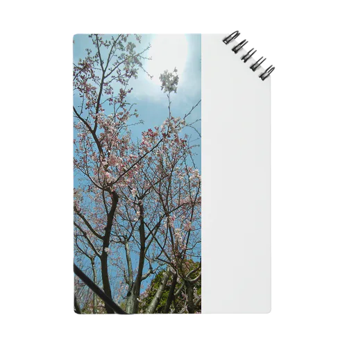 桜 Notebook