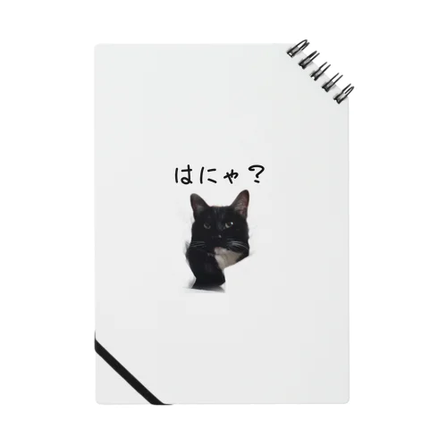 はにゃ？ Notebook