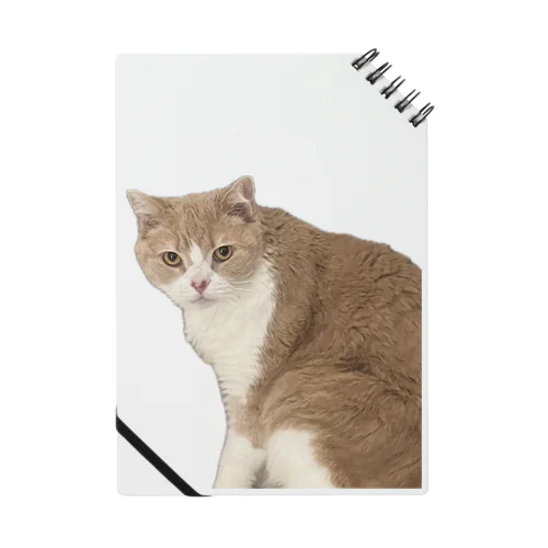 マシロくん猫グッズ Notebook