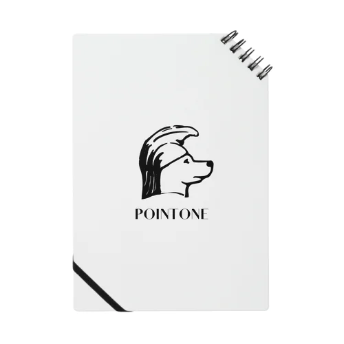 point one  Notebook