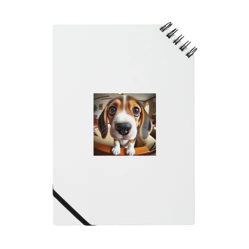 beagle Notebook