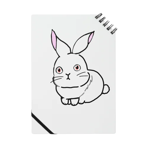 KIDS RABBIT_1 Notebook