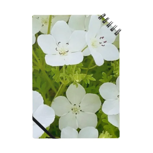 癒しの白いネモフィラ Notebook