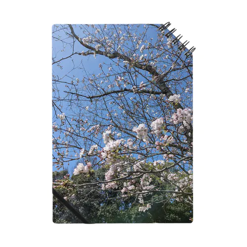 桜が散る頃に Notebook