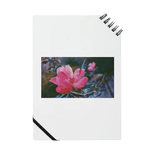 Flower in Sorrento Notebook