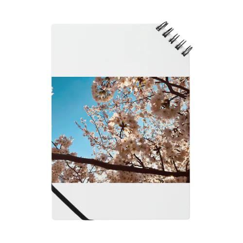 桜 Notebook