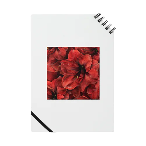アマリリス　真っ赤な綺麗な花 Notebook