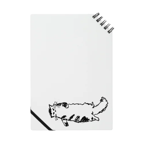 床に落ちてる猫 Notebook