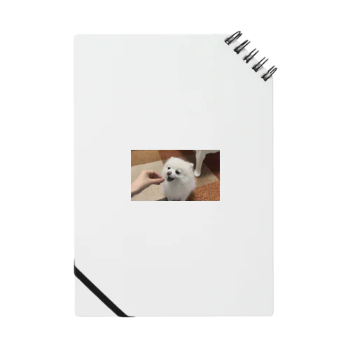 ちゃーちゃん Notebook