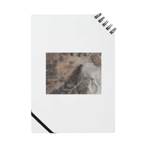 うちの猫 Notebook