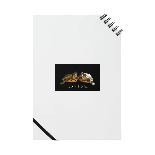 キバラガメのケビケビ Notebook