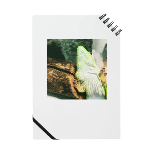 w Notebook