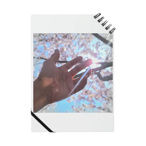 SAKURA Notebook