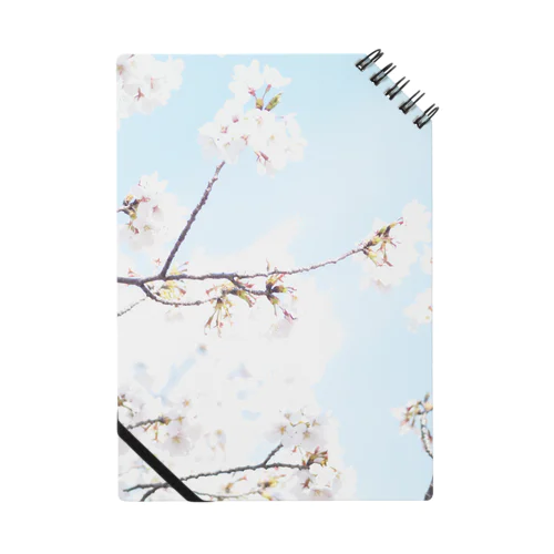 春 Notebook