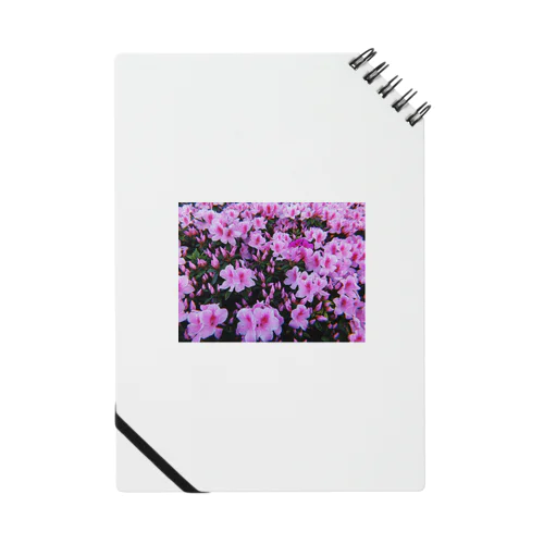 つつじ Notebook