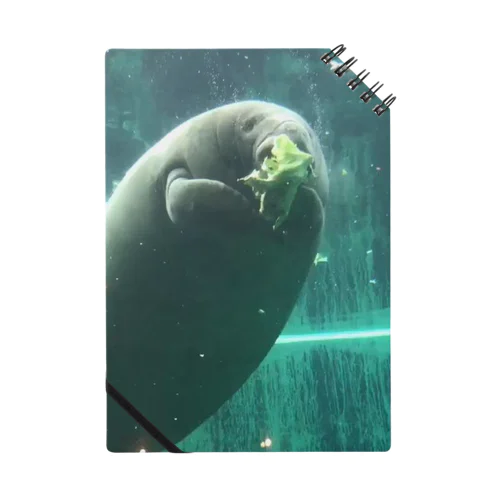 マナティ 海の生き物  Notebook