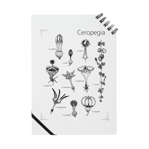 T-29 Ceropegia Notebook