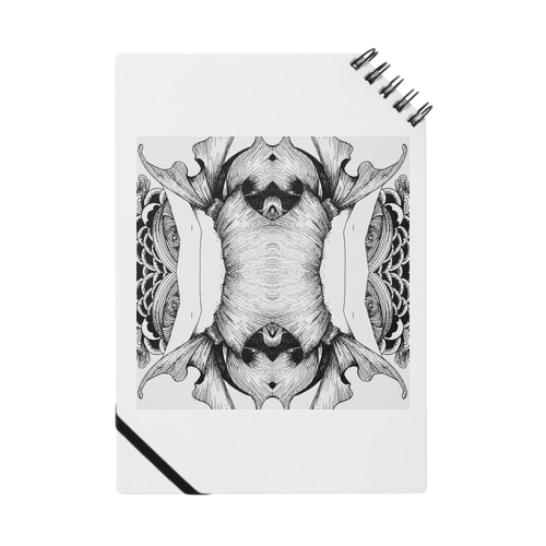 symmetry Notebook