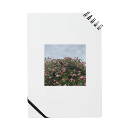  rose Notebook