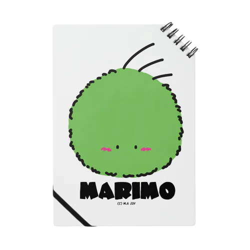 MARIMO Notebook