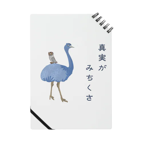 真実がみちくさ Notebook