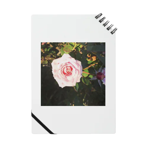 バラ園のバラ Notebook