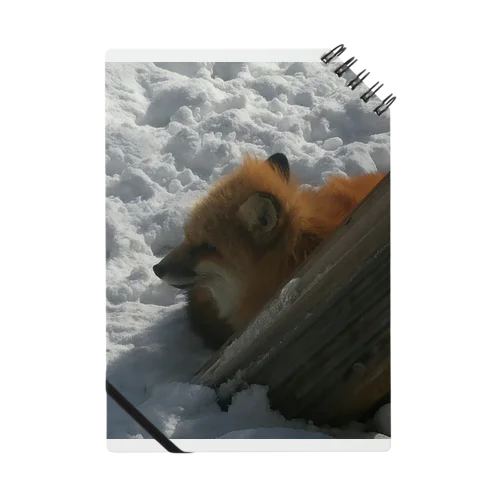 雪中の狐（写真） ノート