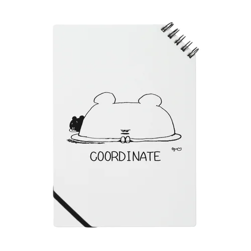 coordinate Notebook