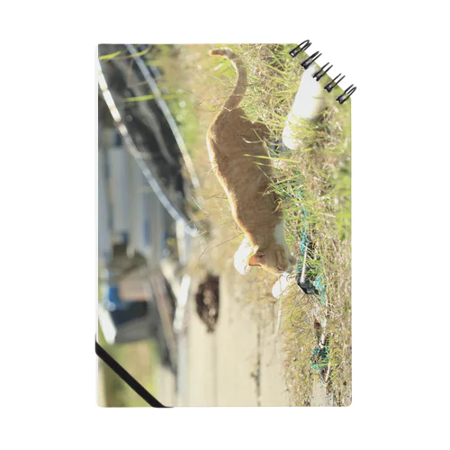 ねこ Notebook