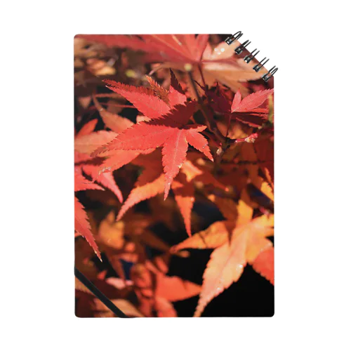 紅葉なぜ泣くの？紅葉の勝手でしょ ノート