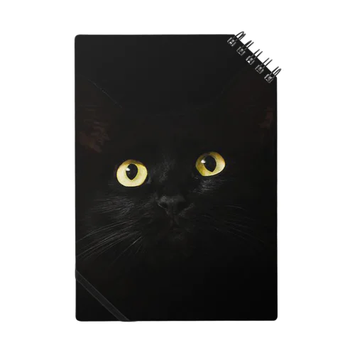 Black cat　黒猫　 Notebook