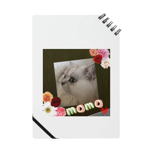 momo Notebook